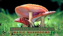 Anorexic People May Benefit From Magic Mushrooms, Study