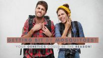 Constantly Getting Bit By Mosquitoes? Your Genetics Could Be The Primary Reason!