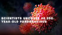 What Now! Scientists Uncover A 48,500-year-old Pandoravirus Buried In Ice