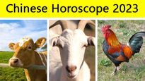 Chinese Horoscope 2023: Find Out What Is In Store For You This Chinese Year