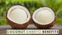 Coconut Embryo Benefits: 8 Reasons Why You Should Start Eating This Super Food!