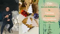 Exclusive: This Bengaluru-Based Green Initiative Is Turning Christmas Decorations Into Plants  