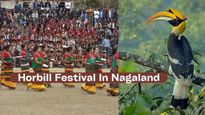  Hornbill Festival In Nagaland: Know Interesting Details About The Festival Of Naga Tribes