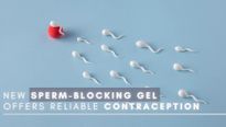 New Sperm-Blocking Gel Offers Reliable Contraception; An Alternative To Hormonal Birth Control
