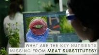 What Are The Key Nutrients Missing From Meat Substitutes?