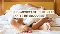 Why Is It Important To Urinate After Intercourse? How Soon Should You Urinate?
