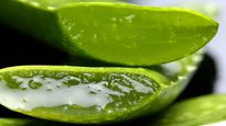 Aloe Vera For Your Hair: 3 Ways To Use It
