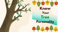 Know Your Tree Personality: Know About The Trees That Will Suit You Best And Reveal Your Traits