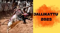 Jallikattu 2023:  Know About The Bull Taming Festival Celebrated During Pongal In Tamil Nadu