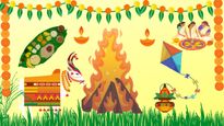 Lohri, Pongal, And Makar Sankranti 2023: Significance And Festive Foods