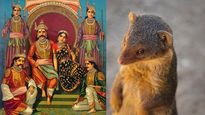 How The Pandava Prince Yudhishthira Was Humbled By A Small Mongoose 