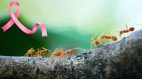 Can Ants Detect Cancer In Urine? How?