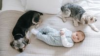 Allergy In Kids: Ways To Keep Kids Safe From Pet Allergies