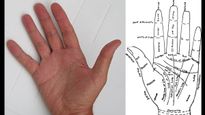 Palmistry: Know Which Lines On Your Palm Can Indicate Health, Wealth, Education, Career, Marriage And More  