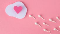 Women’s Day: How Do Sperms Affect A Pregnant Woman? Are There Any Benefits?