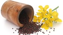 Mustard Flower And Its Exotic Benefits