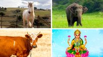 Akshaya Tritiya 2023: Spiritual Practices To Be Followed For Your Uplift And Wellbeing