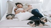 How To Prep Your Pets Before You Bring Home A Newborn!