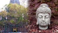 Buddha Purnima 2023: Bodhigaya And Bodhi Vriksha, The Icons Of Buddhism