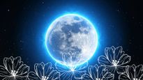 Flower Moon 2023 Date and Time: Why Full Moon In May Is Called Flower Moon And Other FAQs 
