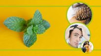 Mint Hair Pack To Cool Your Scalp And Control Hair Fall In Summer