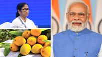 Exquisite Lakshmanbhog Mangoes: Mamata Banerjee's Cherished Gift For PM Narendra Modi
