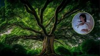 Myths Vs Facts: You Should Not Sleep Under Peepal Tree At Night 