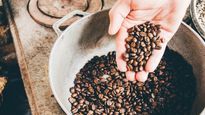 Coffee Grounds for Skin Care: A Natural Exfoliator and Antioxidant