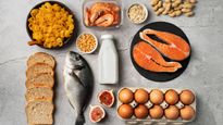 Myths vs Facts: Are All Cholesterol-Rich Foods Unhealthy?