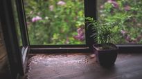 Monsoons: 6 Handy Tips To Reduce Dampness In Your Home