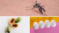 Therapeutic Foods To Prevent Dengue: A Guide To Vegetarian And Non-Vegetarian Foods