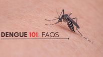 Dengue Fever FAQ: Everything You Need To Know About The Disease