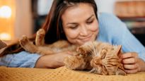 International Cat Day 2023: Did You Know That Cat Purring Can Benefit Your Health? Check Out How!