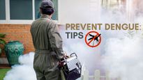 Prevent Dengue At Home: Expert Tips To Keep Your Home Mosquito-Free