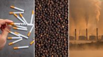 Can Adding Pepper To Your Diet Help Reduce Cigarette Smoke Risk And Pollution?