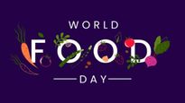 World Food Day 2023: Food Safety Rules That New Chefs Should Follow In The Kitchen