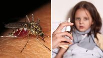 Dengue Fever In School-Going Kids: What Parents Should Know