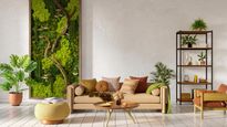 Elevate Your Home: 10 Biophilic Design Tips for A Nature-Inspired Living Experience