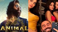 Year Ender 2023:10 Bizzare Stories That Made Headlines, Elvish's Snake Venom Party To 'Animal' At Box Office