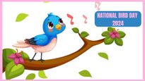National Bird Day 2024: Greetings, Messages, Wishes, Images, Facebook And WhatsApp Status