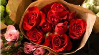 Rose Day 2024: From Rose Oil In Space To Rose Fossil, 10 Fascinating Facts About Roses We Bet You Didn't Know