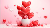 Valentine's Day 2024: Is Origin Of Heart Symbol Associated With A Plant Seed? Here's What You Need To Know