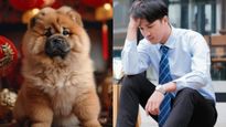 No 'Dog' Allowed? Chinese Company Rejects Applicants Based On Zodiac Sign, And The Reason Is Unbelievable!