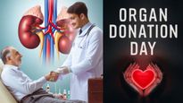 World Organ Donation Day 2024: Step-by-Step Guide To Donate A Kidney And Make a Life-Changing Impact