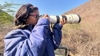 9-Year-Old Indian Girl's Morning Stroll Photo Steals Wildlife Photographer Of The Year Spotlight
