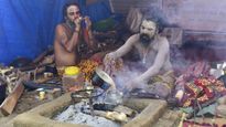 The Mystical Foods Of Maha Kumbh Mela 2025 : Decoding The Diet Of Naga Sadhus