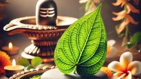 Why Offering ‘Bel Patra’ On Maha Shivratri Brings You Closer To Lord Shiva