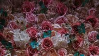 Rose Day 2025 : A Symbolic Start To Valentine’s Week, Speak The Language Of Love With The Ideal Bloom! 