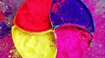Holi 2025 : Meet The Wild Cousins Of This Festival From India And Around The World