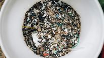 The Plastic Inside Us : New Study Links Microplastics To Female Fertility Concerns 